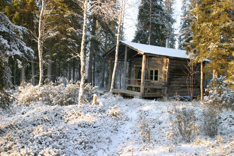 Tulihtaniemen mökki Arolassa