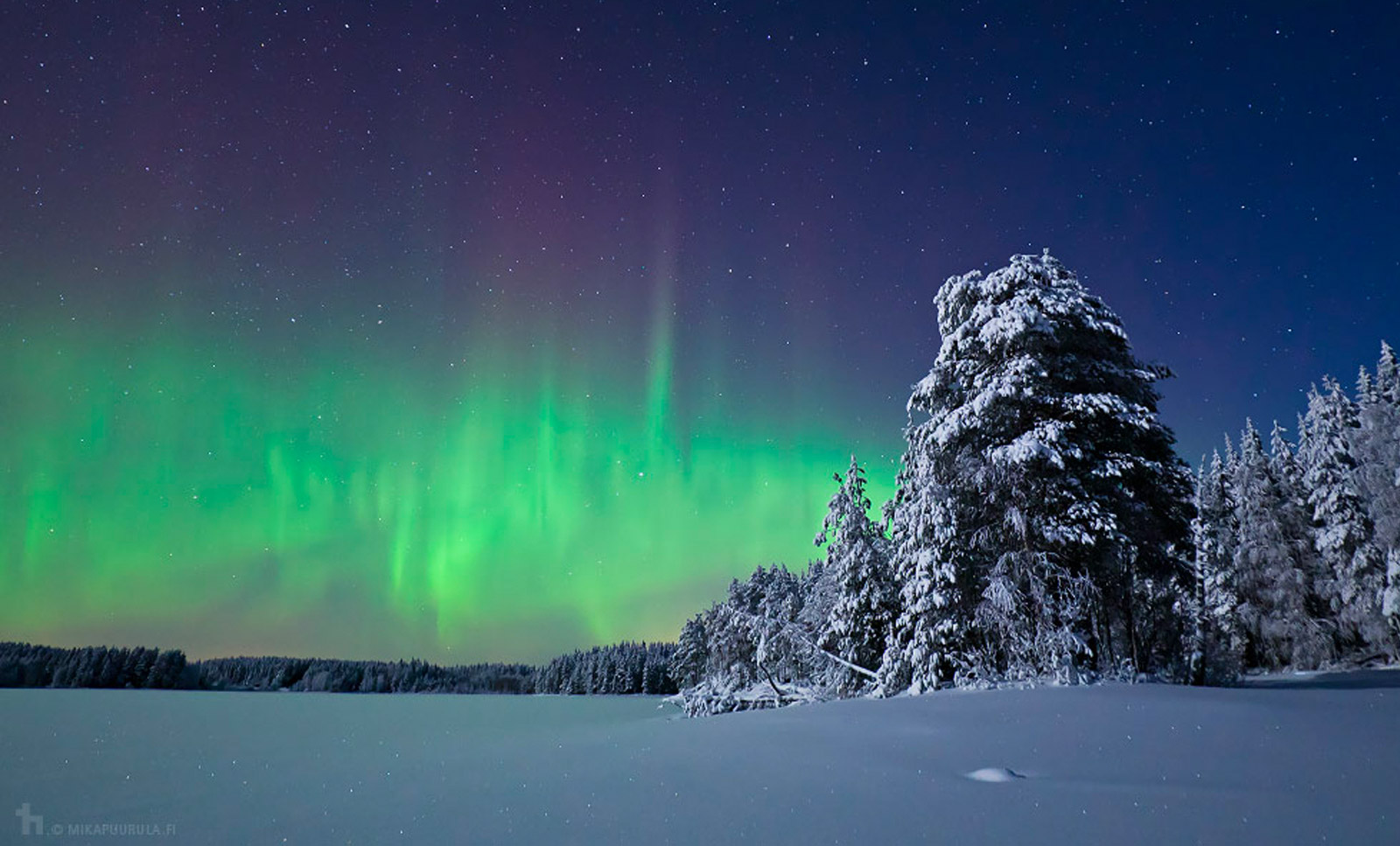 Explore true wild north - Wild Taiga