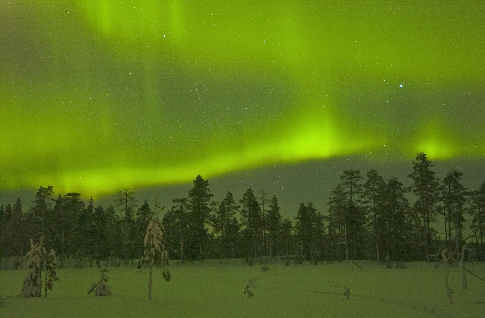 Winter Holiday in Wild Taiga - Wild Taiga