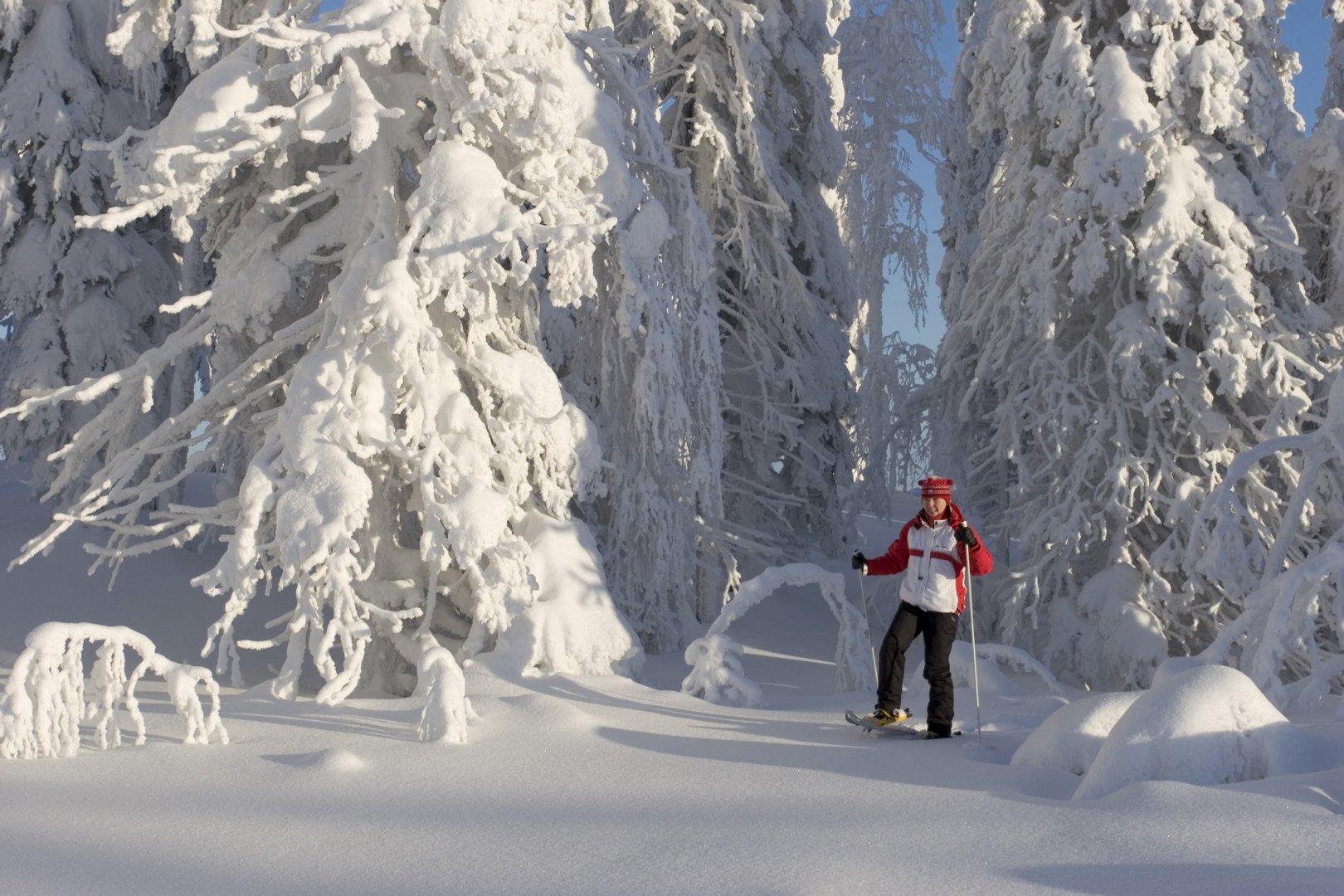 Snowshoeing - Easy day trips and week-long adventures